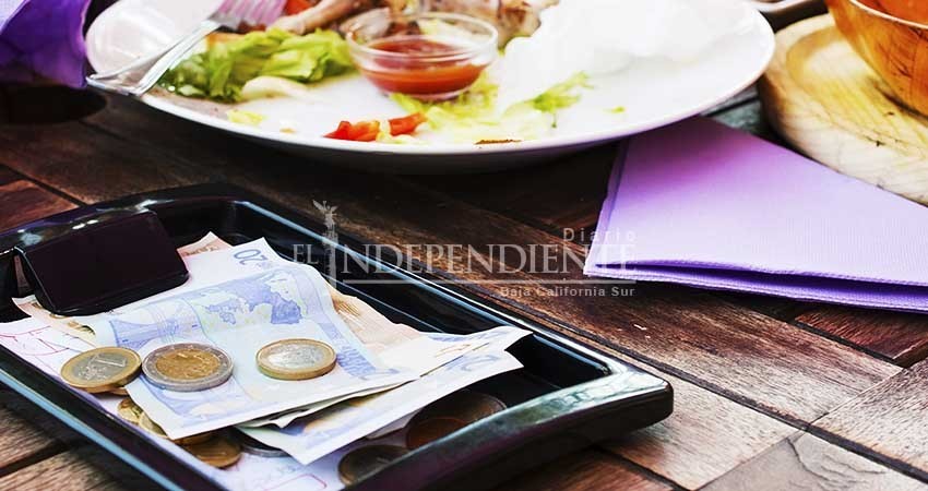 Defenderá la Profeco a narcos… por papitas Defenderá la Profeco a narcos… por papitas