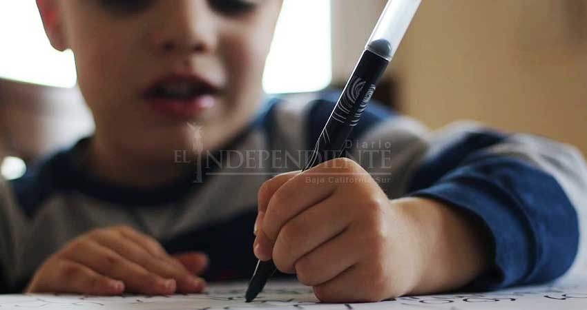 Autismo en BCS sin leyes de protección ni estadísticas  Autismo en BCS sin leyes de protección ni estadísticas