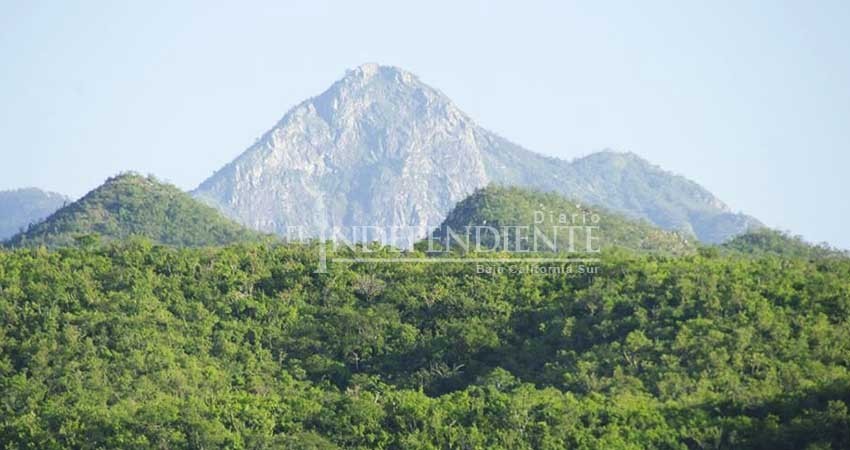 Piden ambientalistas al Ayto de La Paz acceso a documentos relacionados con Los Cardones