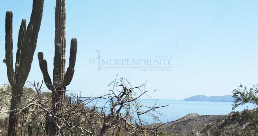 Necesario preservar riquezas naturales para desarrollo turístico: Setues Necesario preservar riquezas naturales para desarrollo turístico: Setues