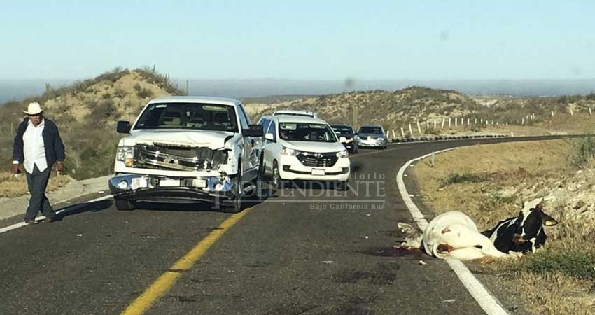 Reinstalará SCT cercos para evitar problema de ganado suelto en carreteras  de BCS