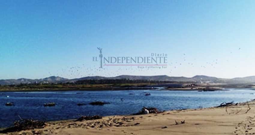 Este mes CONAFOR visitará el Estero de San José