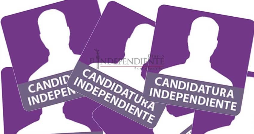 Valida INE apoyo ciudadano a seis independientes Valida INE apoyo ciudadano a seis independientes