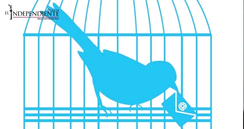 Cisco protege tu email del crimen Cisco protege tu email del crimen
