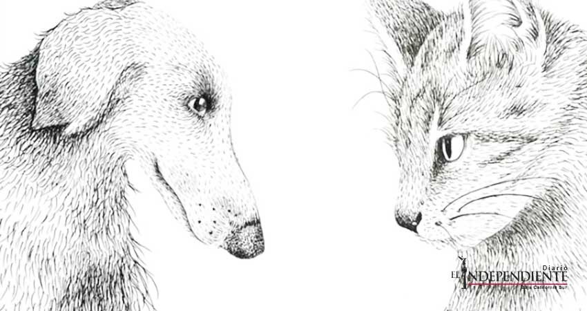Huellas de papel; la literatura produce perros y gatos memorables Huellas de papel; la literatura produce perros y gatos memorables