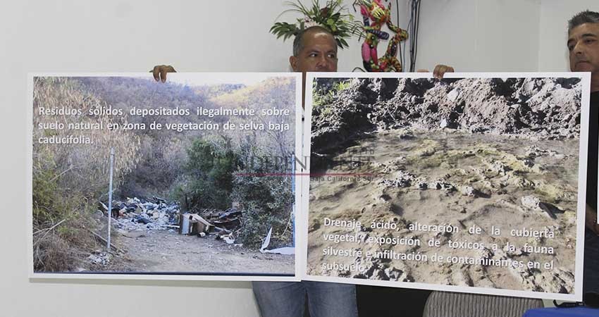 Consejo Agrario Permanente de BCS denuncian afectaciones al ganado por “La Testera” Consejo Agrario Permanente de BCS denuncian afectaciones al ganado por “La Testera”