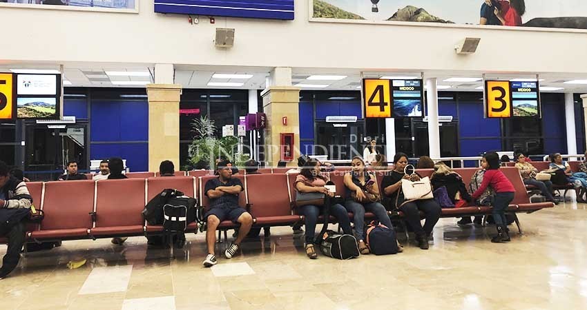 Podría Los Cabos contar en 2019 con rutas aéreas a Sudamérica y Europa Podría Los Cabos contar en 2019 con rutas aéreas a Sudamérica y Europa