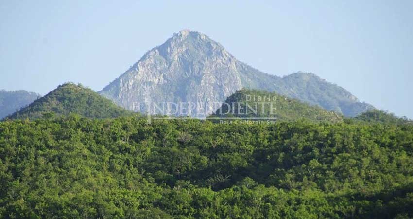 Rechazan ambientalistas llamado a debate de grupos promineros Rechazan ambientalistas llamado a debate de grupos promineros