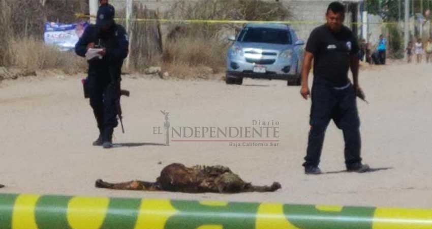Localizan el cadaver en descomposición de un hombre en La Paz Localizan el cadaver en descomposición de un hombre en La Paz