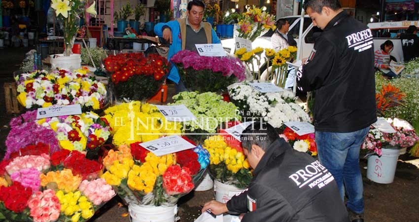Vigila Profeco respeto a promociones por el Día de las Madres Vigila Profeco respeto a promociones por el Día de las Madres