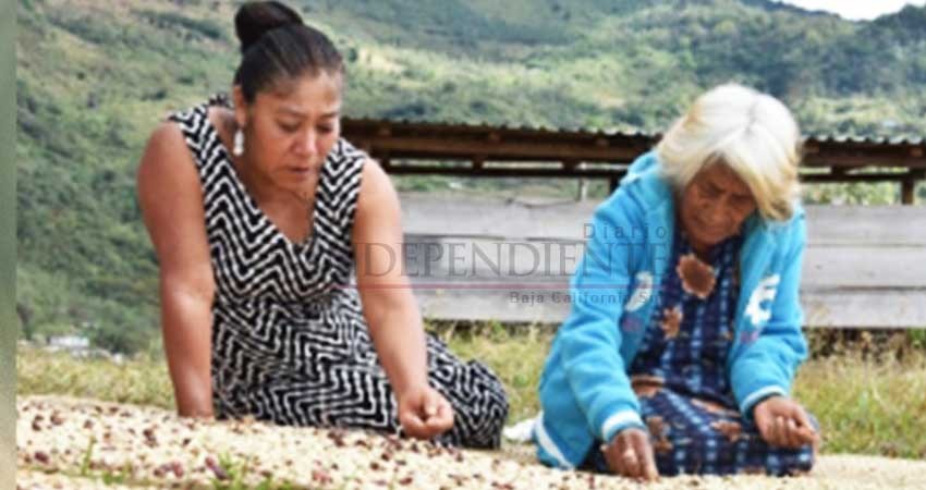 Indígena zapoteca gana concurso de fotografía Indígena zapoteca gana concurso de fotografía
