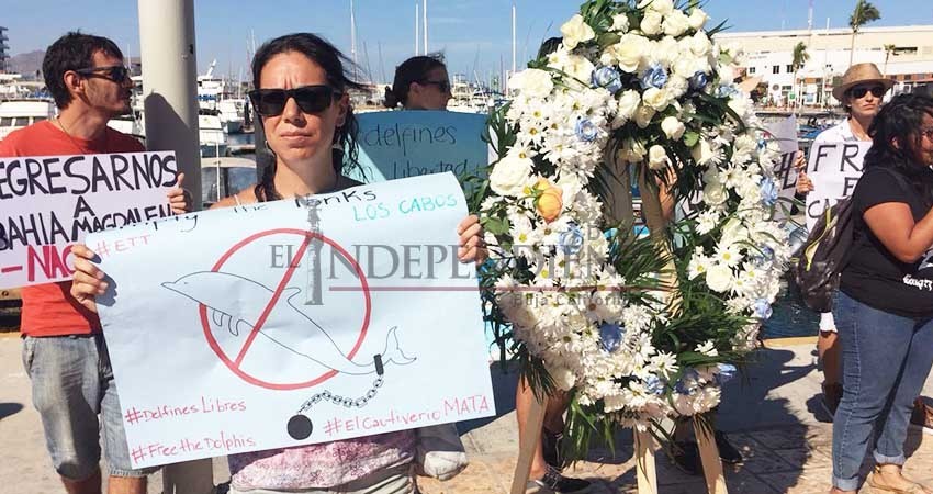 Con manifestación piden el cierre de delfinarios en Los Cabos Con manifestación piden el cierre de delfinarios en Los Cabos