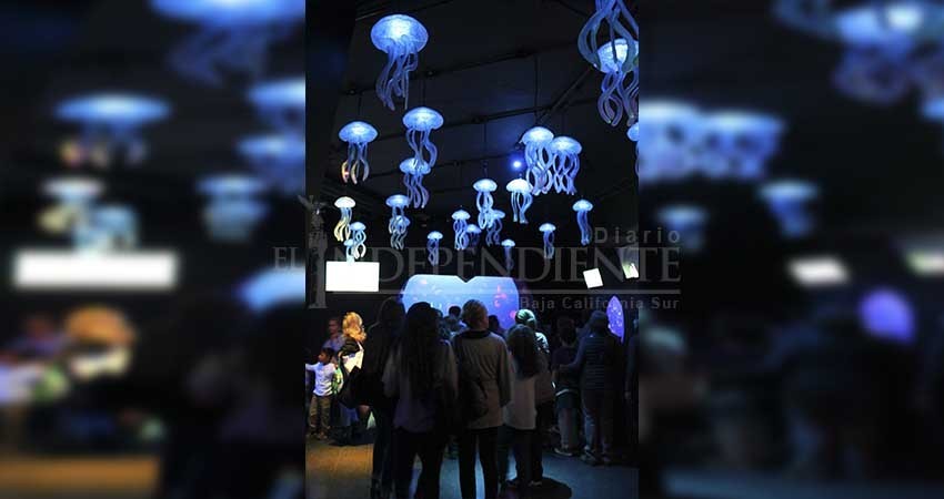 Empresario que busca construir acuario en Los Cabos, visitará el municipio Empresario que busca construir acuario en Los Cabos, visitará el municipio