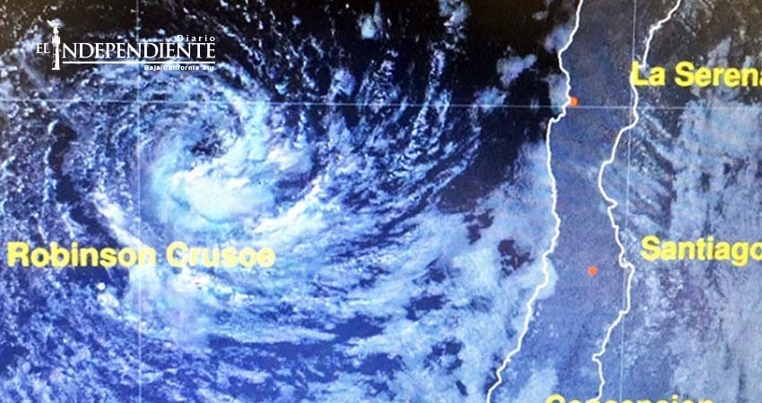 Aparece fenómeno 'extremadamente raro' en la costa de Chile Aparece fenómeno 'extremadamente raro' en la costa de Chile