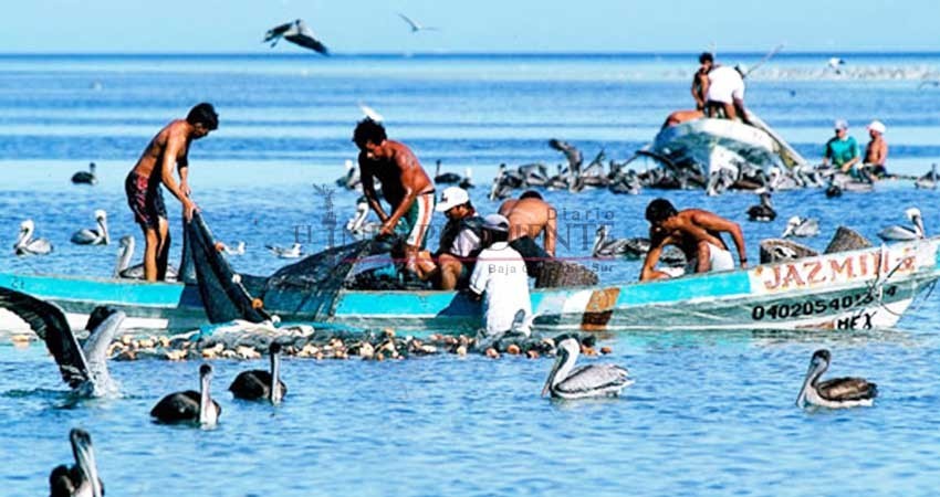 Cooperativa en Pto San Carlos se niega a ofrecer seguro médico a pescadores Cooperativa en Pto San Carlos se niega a ofrecer seguro médico a pescadores
