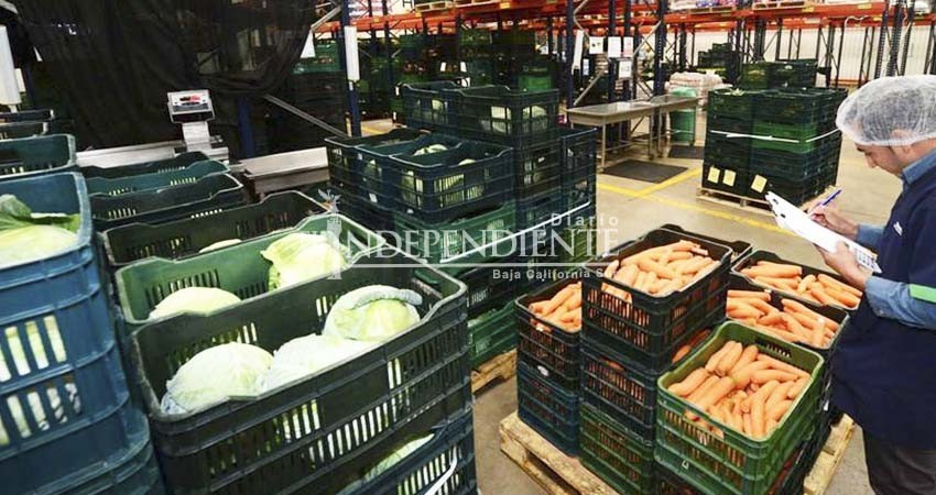 BCS tiene suficiencia alimentaria de 30 días, en caso de huracán: Segob BCS tiene suficiencia alimentaria de 30 días, en caso de huracán: Segob