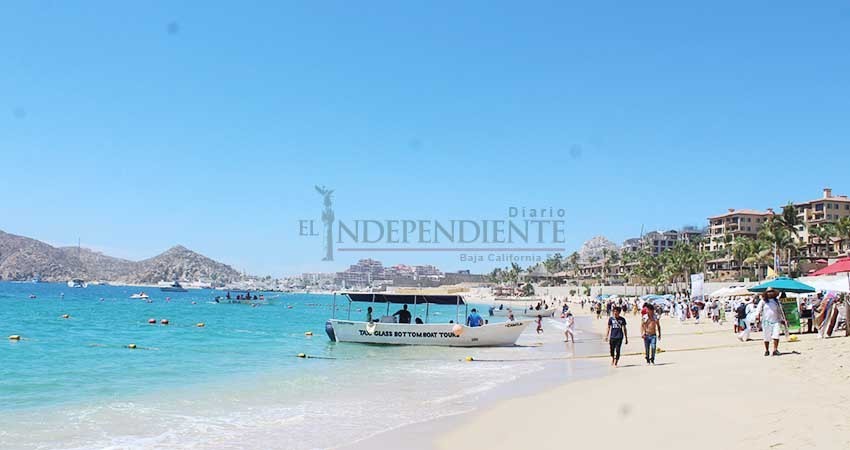 A un paso, la certificación Blue Flag para playas de Los Cabos A un paso, la certificación Blue Flag para playas de Los Cabos