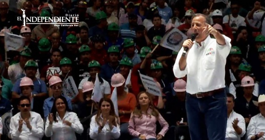 Llama Meade a cerrar paso al Senado a Nestora y 'Napo' Llama Meade a cerrar paso al Senado a Nestora y 'Napo'