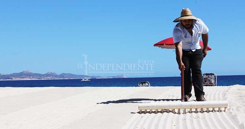 Los Cabos logra 1er lugar nacional con 19 playas Blue Flag Los Cabos logra 1er lugar nacional con 19 playas Blue Flag