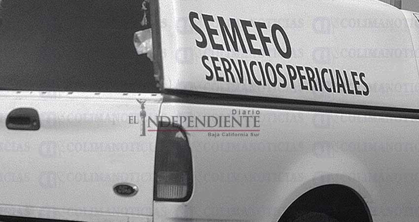 Lo asesinaron entre los palmares de Todos Santos Lo asesinaron entre los palmares de Todos Santos