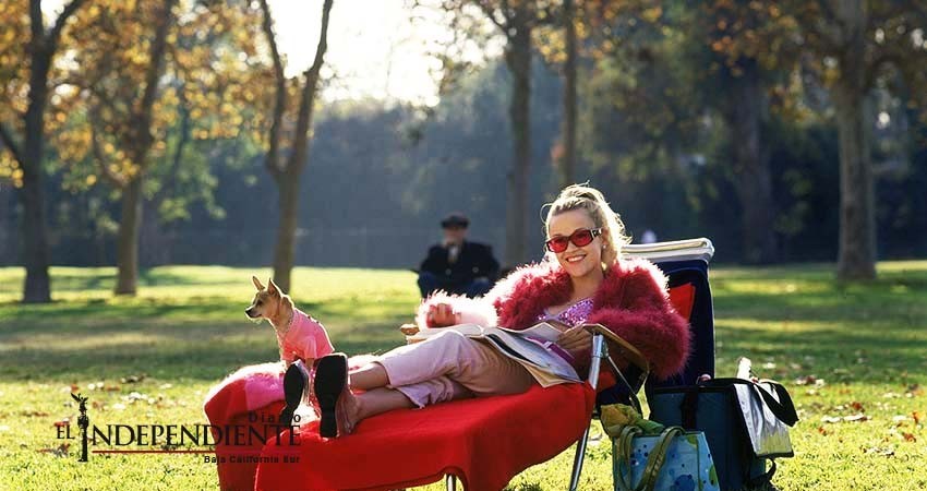 Reese Witherspoon cerca de rodar 'Legalmente Rubia 3' Reese Witherspoon cerca de rodar 'Legalmente Rubia 3'
