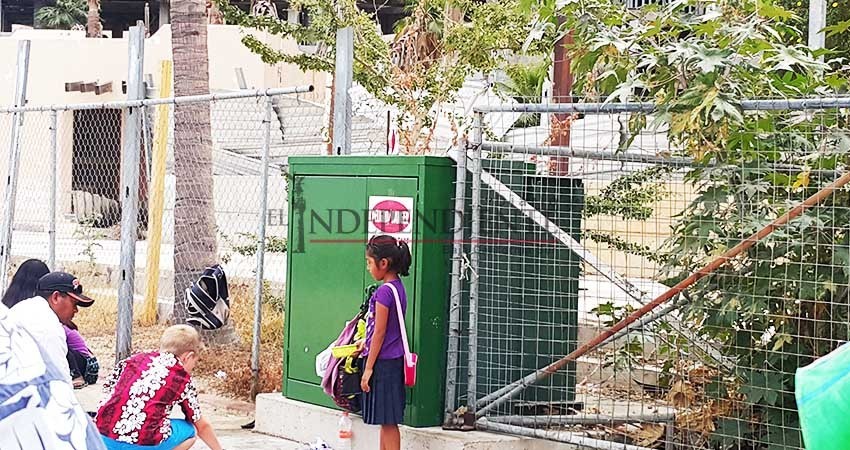 No existen argumentos para permitir la explotación laboral infantil en Los Cabos opina en CCC No existen argumentos para permitir la explotación laboral infantil en Los Cabos opina en CCC