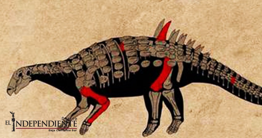 Describen nuevo género de dinosaurio Describen nuevo género de dinosaurio