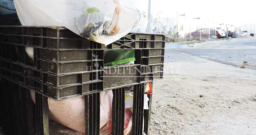 Reanuda Servicios Públicos recolección de basura tras el paso de "Bud" Reanuda Servicios Públicos recolección de basura tras el paso de "Bud"