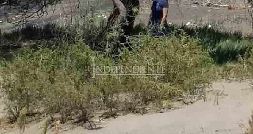 Sin vida la encontraron colgada de un árbol camino al Mogote Sin vida la encontraron colgada de un árbol camino al Mogote