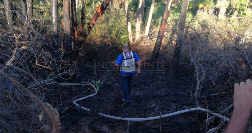 Se registra incendio en inmediaciones del estero; superficie afectada fue de unos 35 m2 Se registra incendio en inmediaciones del estero; superficie afectada fue de unos 35 m2
