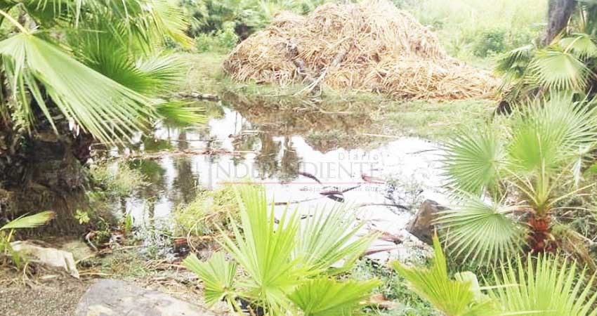 Estero de San José sin afectaciones mayores tras el paso de Bud Estero de San José sin afectaciones mayores tras el paso de Bud