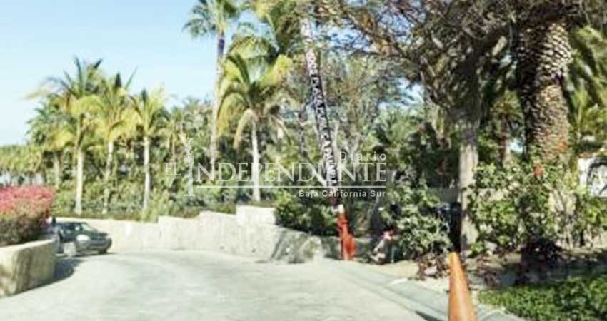 Hay que prevenir que Palmilla coloque pluma desde el puente de entrada Hay que prevenir que Palmilla coloque pluma desde el puente de entrada