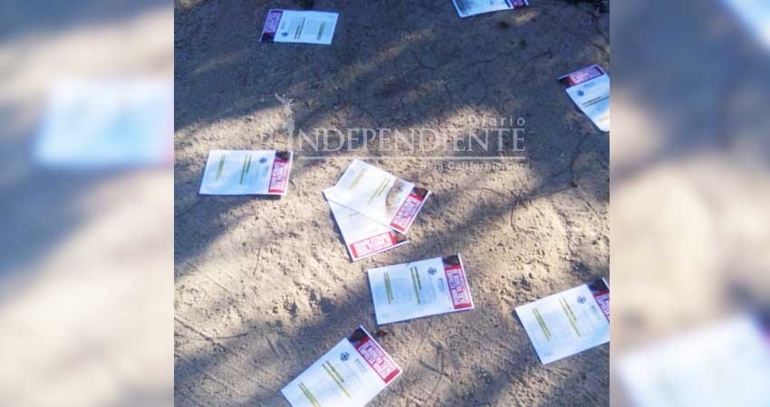Contaminan VI distrito con folletos contra candidatos de Morena Contaminan VI distrito con folletos contra candidatos de Morena