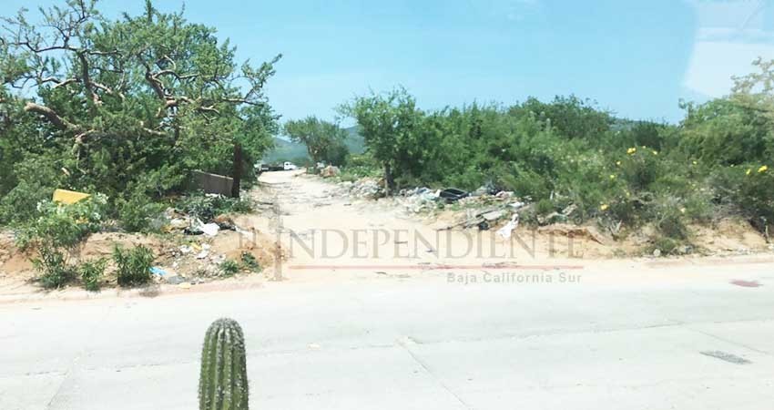 Basura y suciedad primera impresión de los turistas que llegan vía Aeropuerto de CSL Basura y suciedad primera impresión de los turistas que llegan vía Aeropuerto de CSL