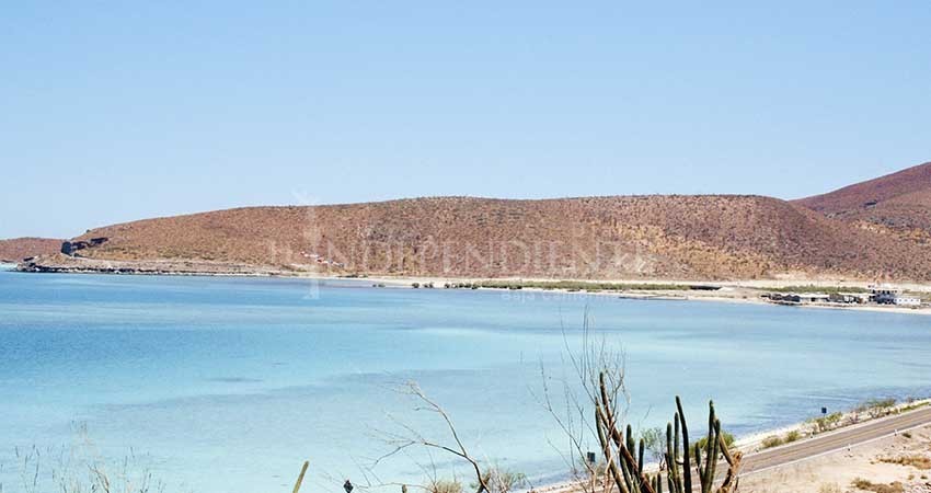 Sin acceso ambientalistas a datos sobre proyectos de inversión que llegan al Estado Sin acceso ambientalistas a datos sobre proyectos de inversión que llegan al Estado