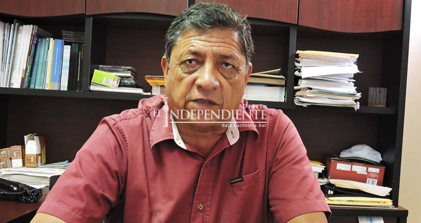Ganamos Mulegé frente al fenómeno AMLO: PANAL Ganamos Mulegé frente al fenómeno AMLO: PANAL