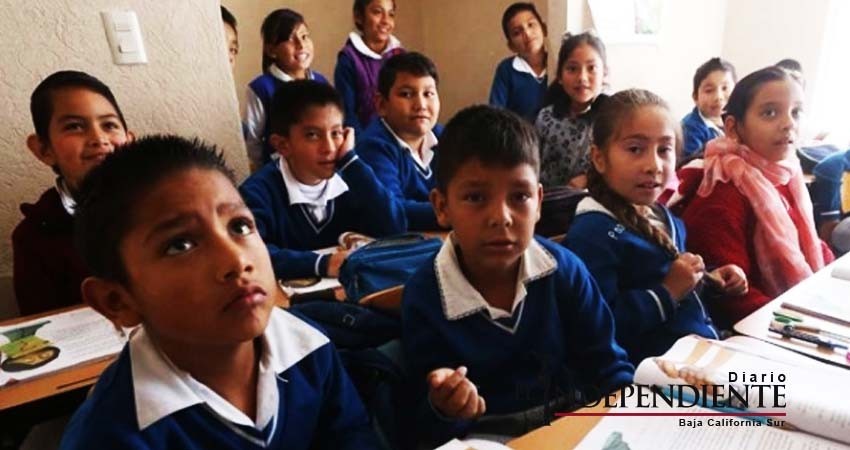 Identifican biomarcador que mide nivel de aprendizaje