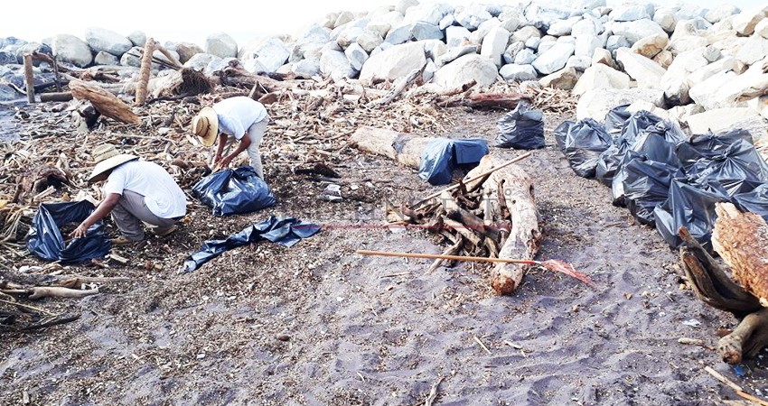 Por efectos de Mar de fondo, reporta Zofemat arrastre de palizada en La Playita