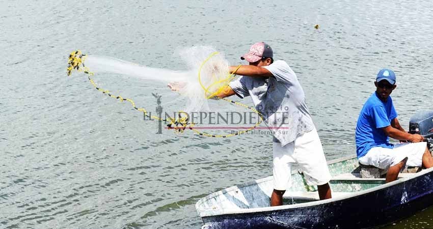 Acumula rechazo propuesta de refugio pesquero en Mar de Cortés y litoral de BCS
