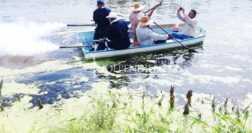Fumigan Estero de San José por presencia de tres especies de mosquitos