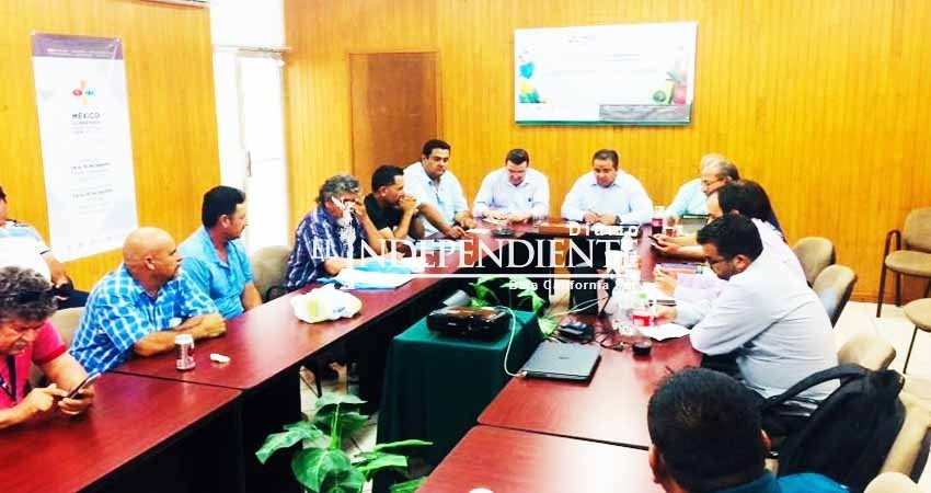 CONAPESCA no subsanara a pescadores de Agua Amarga, sí incurrieron en delito