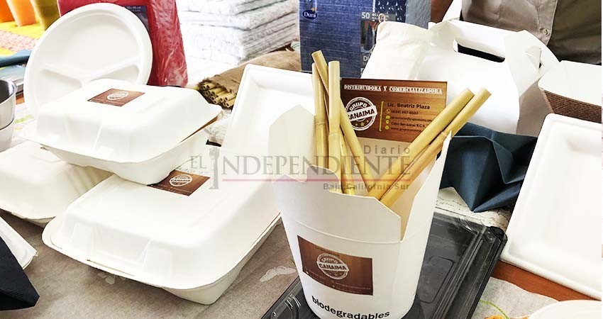 Tras aprobarse la prohibición de plásticos aumenta demanda de productos ecológicos