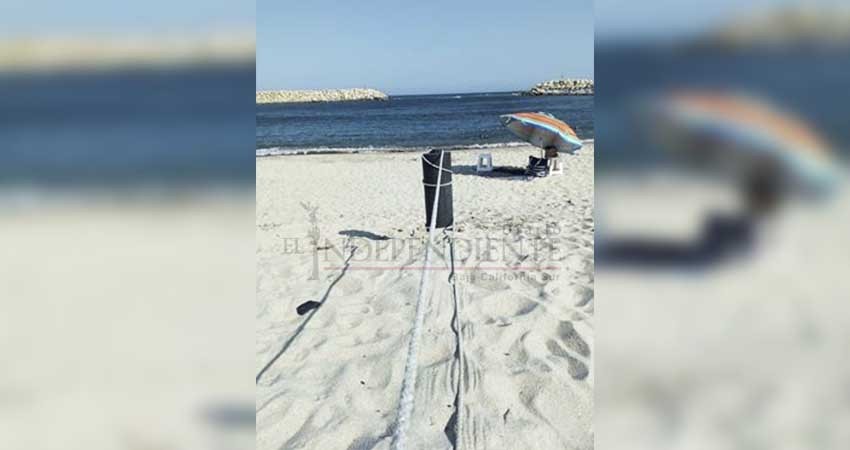 En el tema de playas hay que irse por lo que dice la ley, advierte Blanca Pedrin En el tema de playas hay que irse por lo que dice la ley, advierte Blanca Pedrin