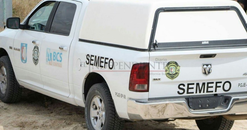 Hallan osamenta en alrededores del fraccionamiento Chula Vista de CSL Hallan osamenta en alrededores del fraccionamiento Chula Vista de CSL