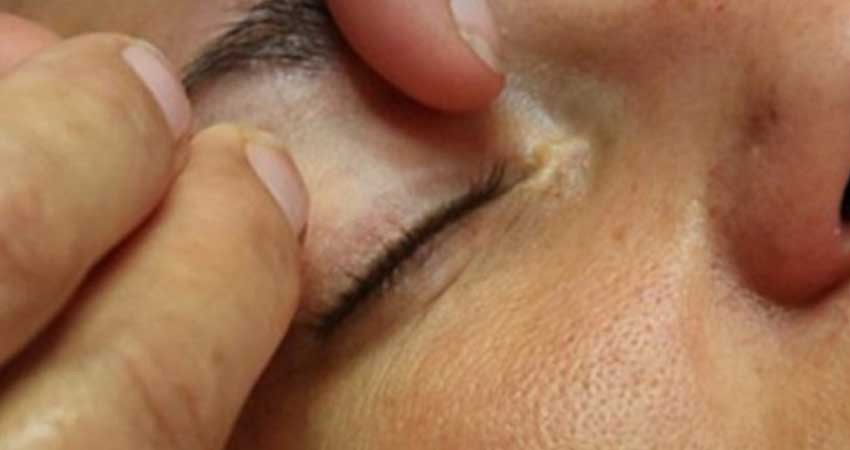 Científicos descubren el ‘gen de la juventud’ Científicos descubren el ‘gen de la juventud’