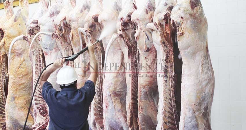 Reglamento de Rastros de Los Cabos, será uno de los más modernos del país