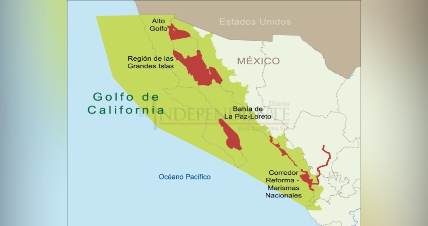 No aceptaremos la creación del área protegida en el Golfo de California: FEDECOOP Centro No aceptaremos la creación del área protegida en el Golfo de California: FEDECOOP Centro