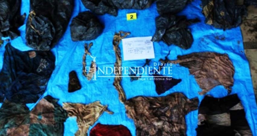 Hallan 32 fosas y 166 cráneos en Veracruz Hallan 32 fosas y 166 cráneos en Veracruz