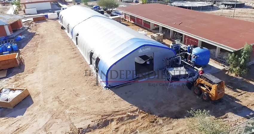 UABCS contará con el primer centro de rescate y atención de especies marinas en México UABCS contará con el primer centro de rescate y atención de especies marinas en México