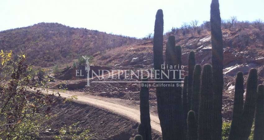 No hay trámite a favor de minera Los Cardones: Ayuntamiento de La Paz No hay trámite a favor de minera Los Cardones: Ayuntamiento de La Paz